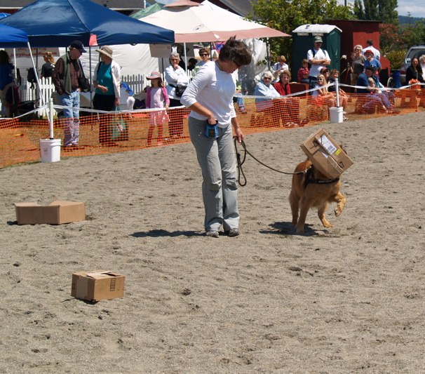 slideshow-0044 nosework3